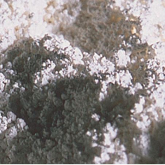 氧化鋯粉的特點