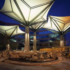 美輪美奐的外膜