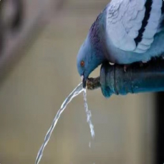 圣戈班穆松橋正式落戶錢(qián)塘區(qū)(一)